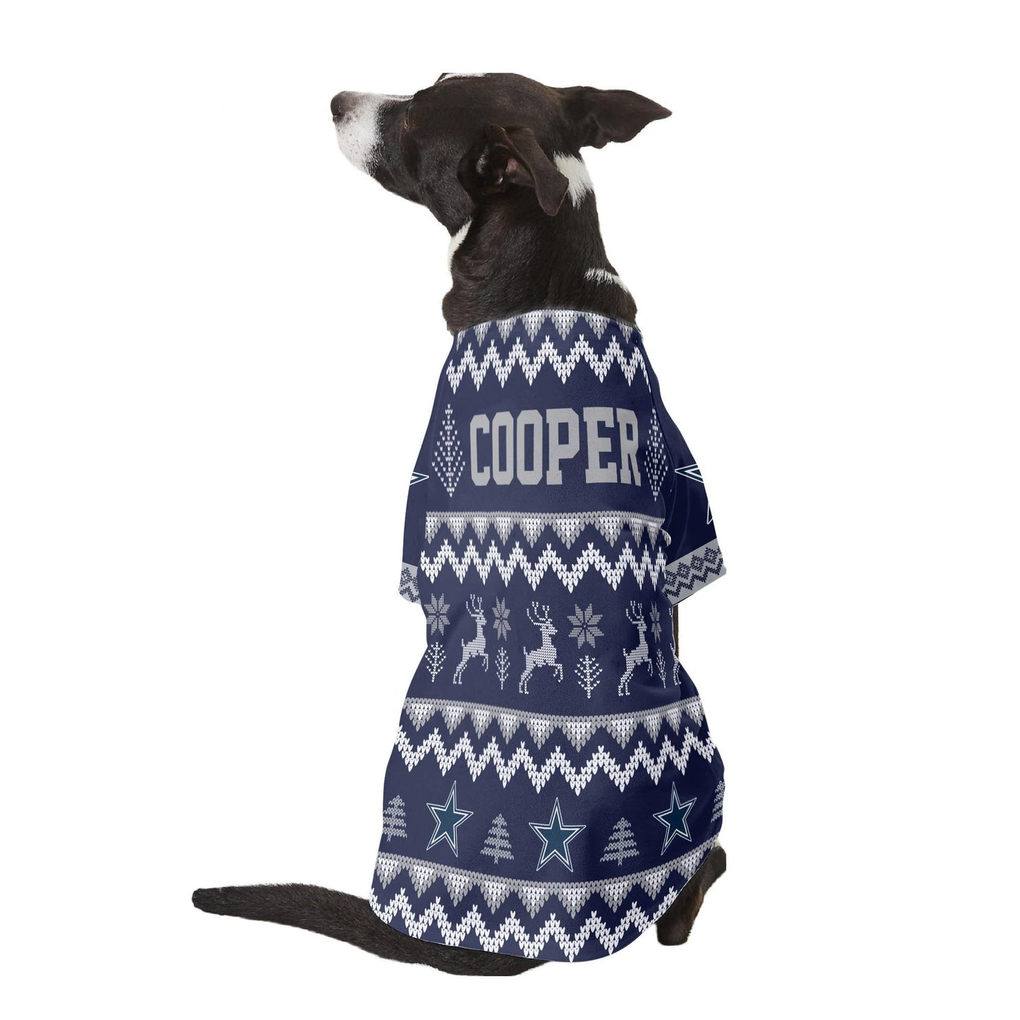 Dallas Cowboys Family Holiday Ugly Sweater Pet Coat 410VTTLPC005